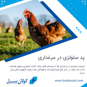 پد سلولزی در مرغداری