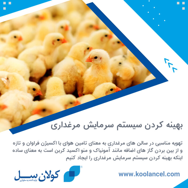 بهینه کردن سیستم سرمایش مرغداری