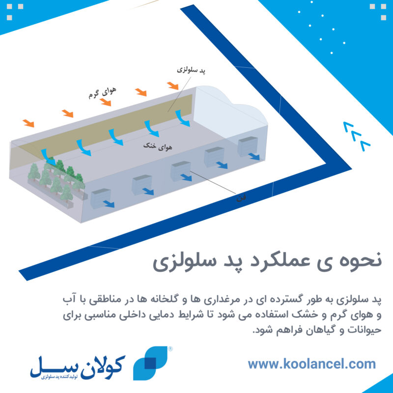 نحوه ی عملکرد پد سلولزی
