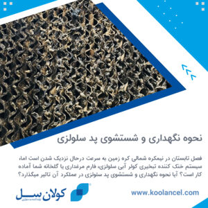 نحوه نگهداری و شستشوی پد سلولزی