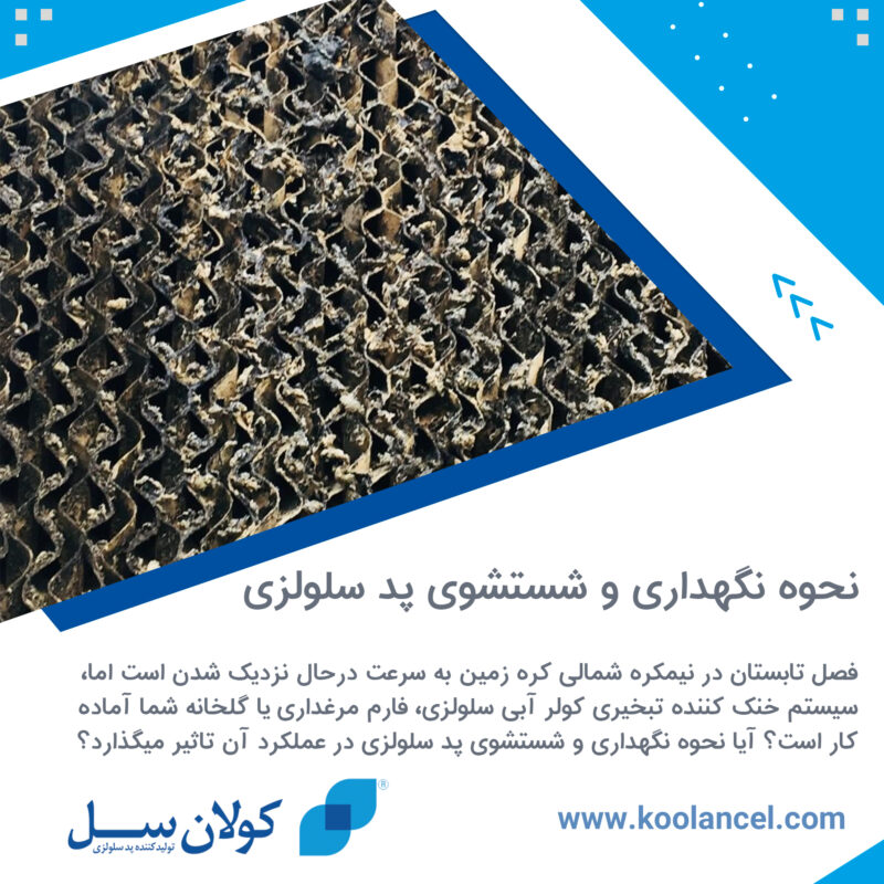 نحوه نگهداری و شستشوی پد سلولزی