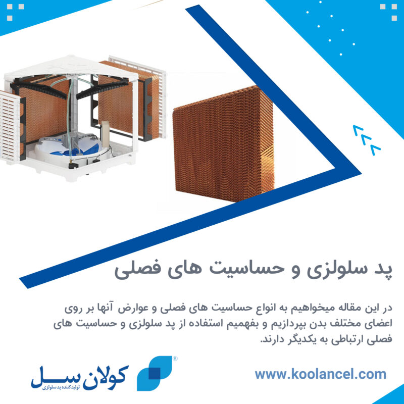 پد سلولزی و حساسیت های فصلی