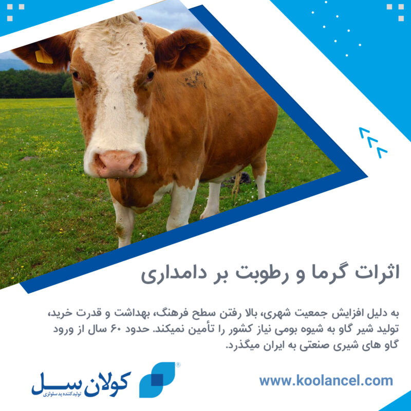اثرات گرما و رطوبت بر دامداری