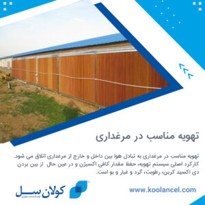 تهویه مناسب در مرغداری