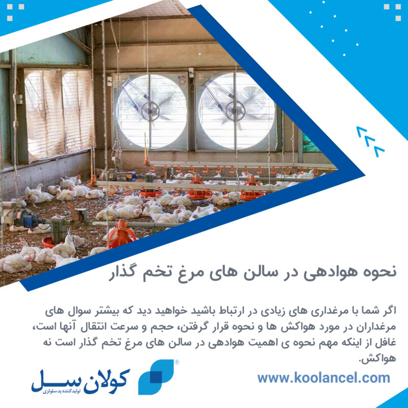 نحوه هوادهی در سالن های مرغ تخم گذار