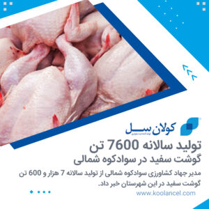 تولید گوشت سفید