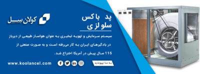 پد سلولزی باکس