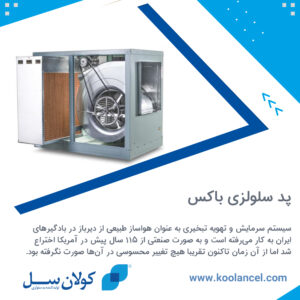 پد سلولزی باکس