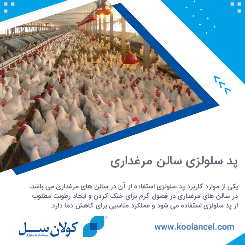 پد سلولزی سالن مرغداری