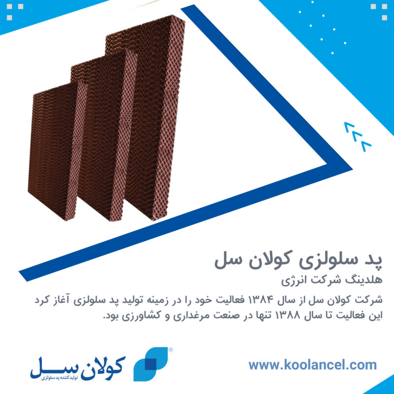 پد سلولزی کولان سل (هلدینگ شرکت انرژی)