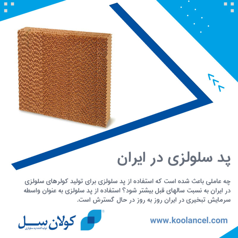 پد سلولزی در ایران