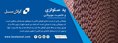 پد سلولزی و خاصیت مویینگی