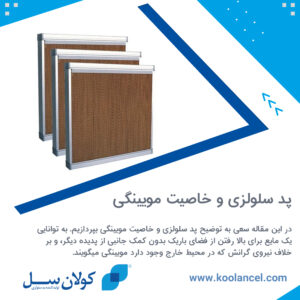 پد سلولزی و خاصیت مویینگی